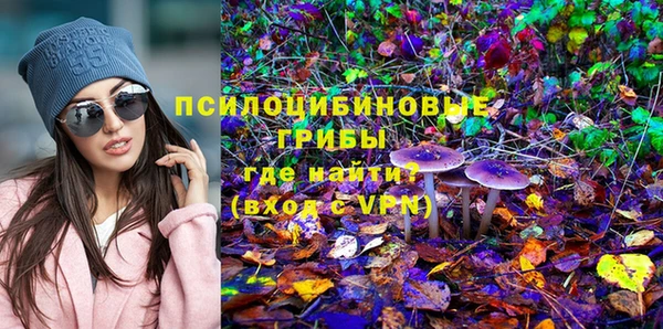 прущие грибы Осташков