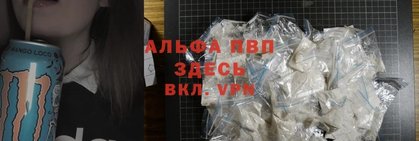 прущие грибы Осташков