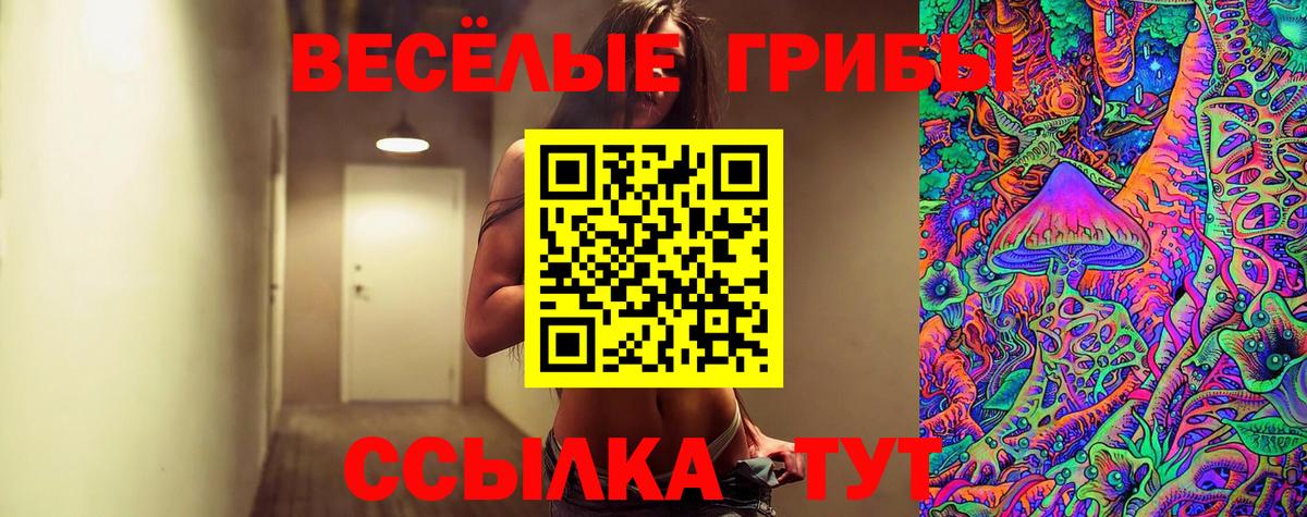 Псилоцибиновые грибы мицелий  Галлюциногенные грибы GOLDEN TEACHER  Вход с VPN  Белебей 