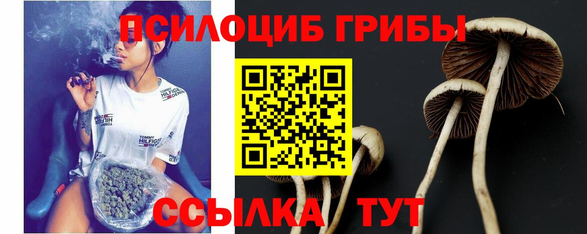 Галлюциногенные грибы GOLDEN TEACHER Белебей